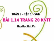Bài 1.14 trang 20 Toán 9 tập 1 Kết nối tri thức SGK: Hệ Phương Trình Bậc Nhất